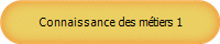 Connaissance des mtiers 1