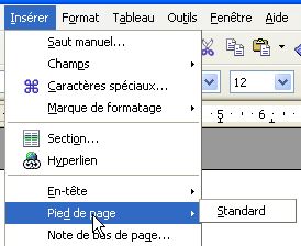 Insrer un pied de page.